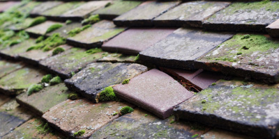 Fawley roof repair costs